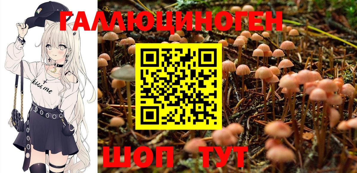 Галлюциногенные грибы Magic Shrooms  Галлюциногенные грибы MAGIC MUSHROOMS  Усть-Джегута  Вход с VPN 
